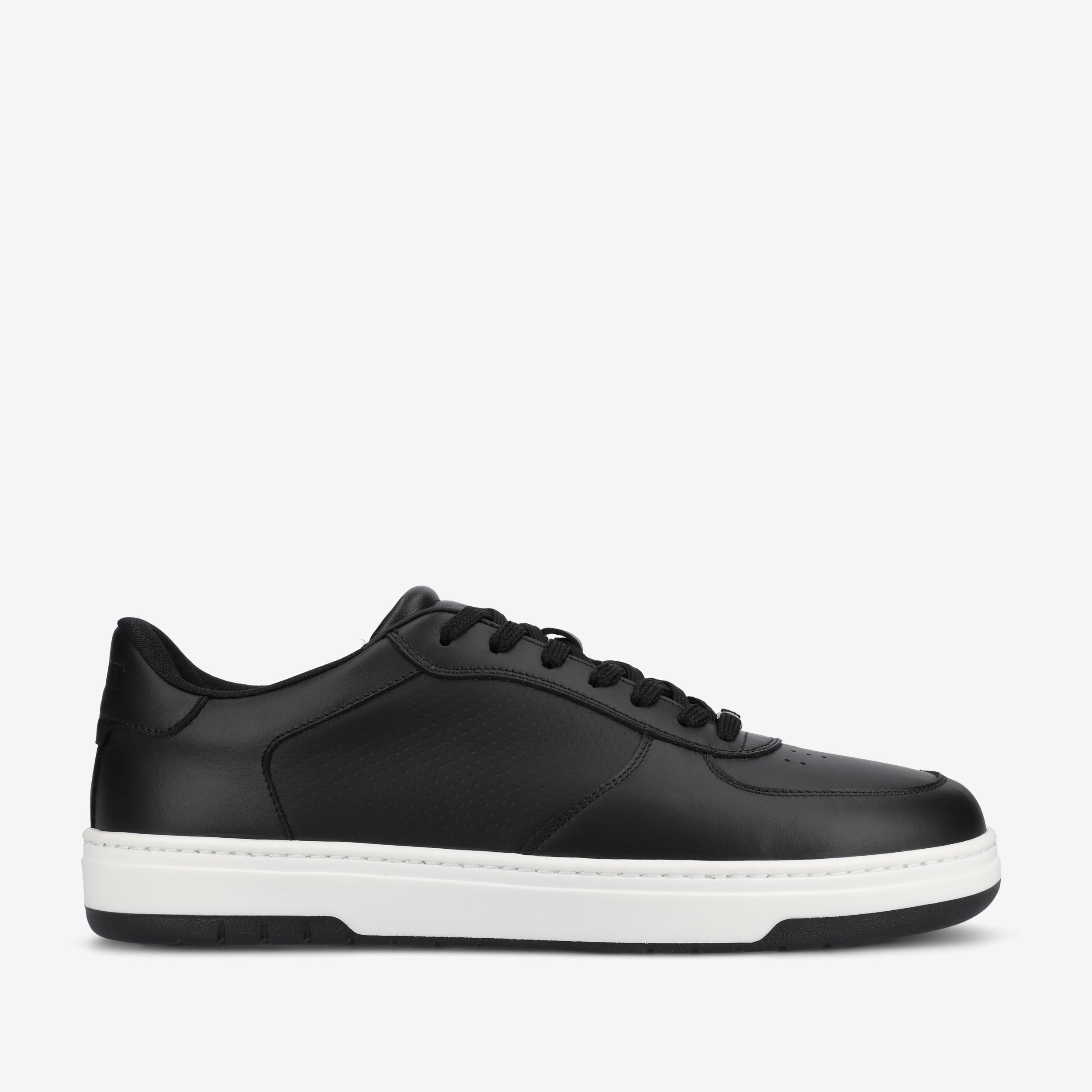 The Rapido Low-top Sneaker in Black