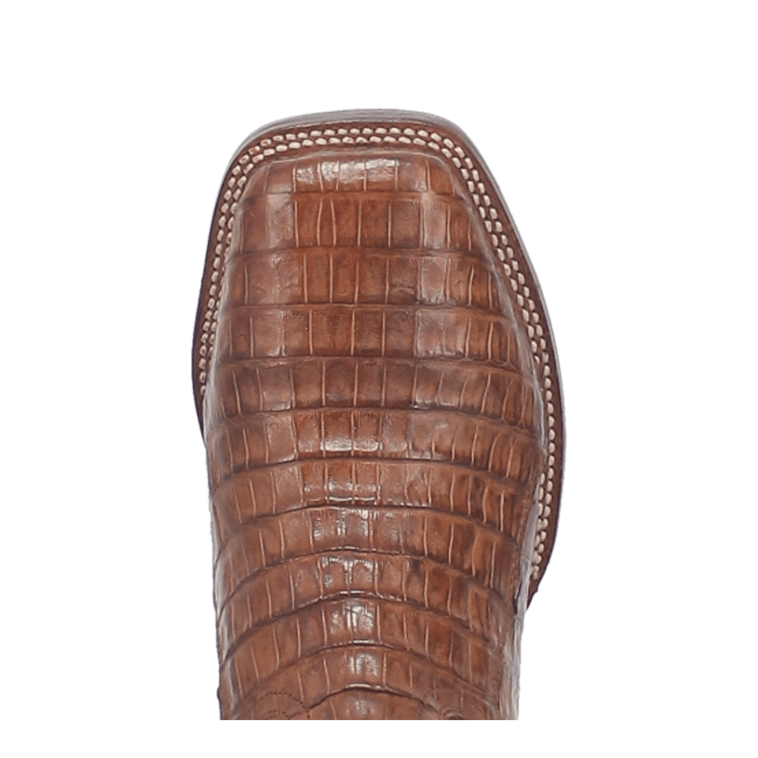 KINGSLY CAIMAN BOOT 6 KINGSLY CAIMAN BOOT