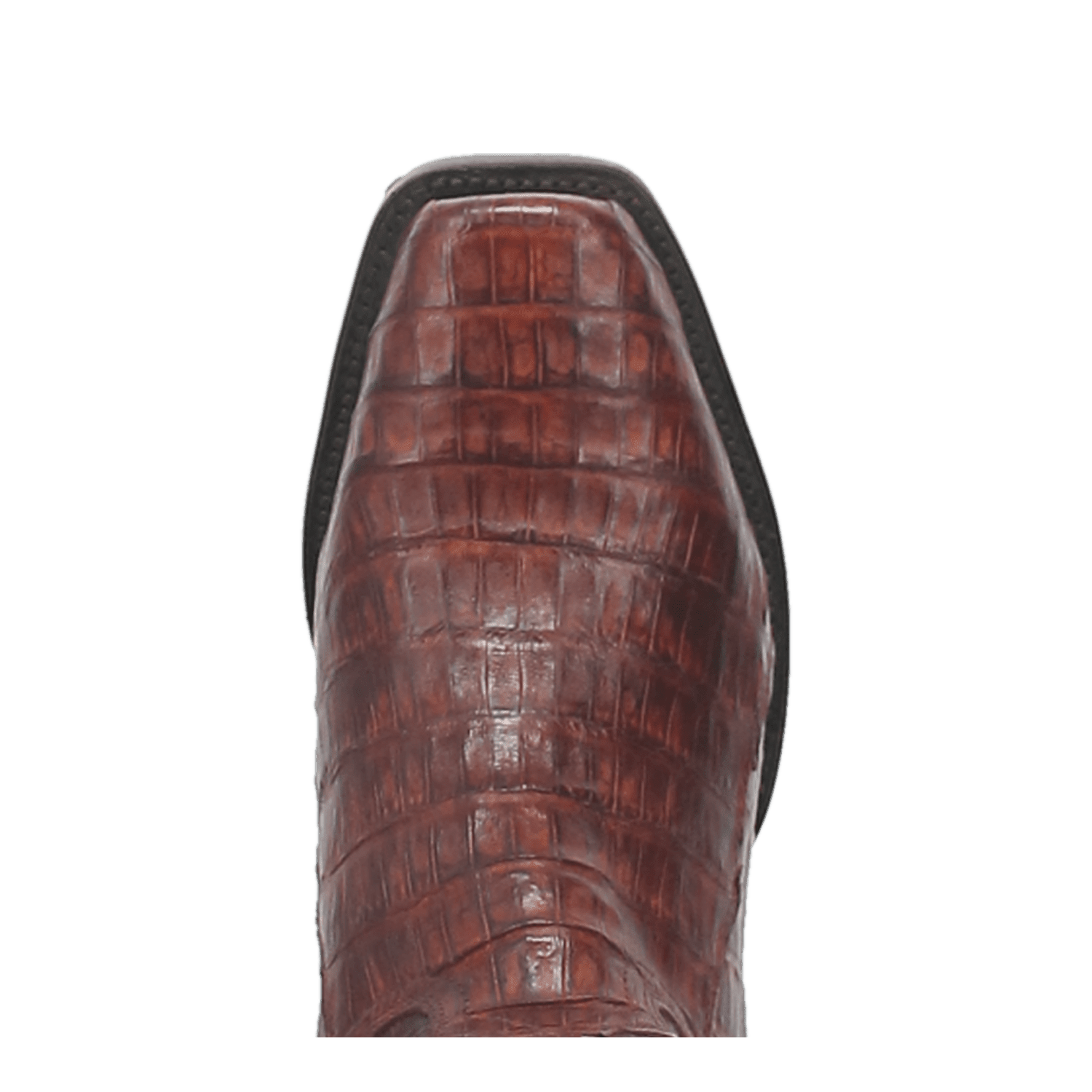 BAYOU CAIMAN BOOT 6 BAYOU CAIMAN BOOT